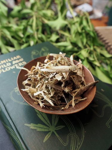 English Tree Barks for Incense & Spell makings - Wicca, Pagan, Magic, Witchcraft - Picture 55 of 96