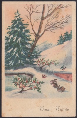 Buon Natale 1933.Ax3058 Buon Natale 1955 Lepri Giocano Tra La Neve Cartolina Augurale D Epoca Ebay