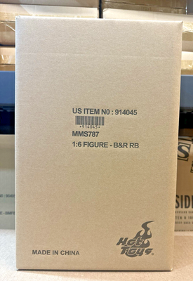 Hot Toys Robin - Batman & Robin 1/6 Scale DC Comics Figure 914045