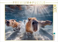 Calvendo Puzzle Today We're Practicing Synchronized Swimming | 1000 Pieces, Fini