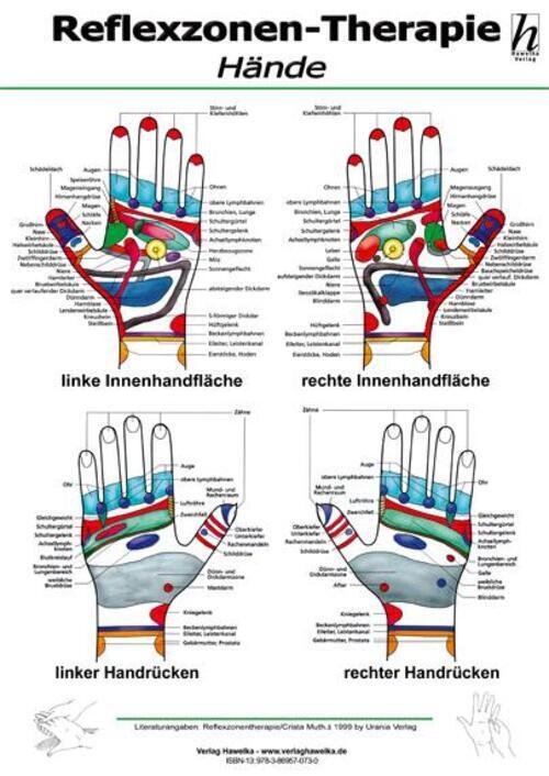 Thumbnail - Reflexzonen-therapie Mini-poster - Hände Din A4 Poster Deutsch 2010