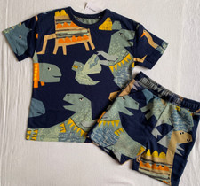 BNWT Boys Dinosaur Patchwork T-Shirt and Shorts Outfit 4-5 years George Summer
