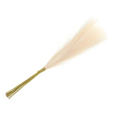 15 pièces faux pampas 55cm pour décoration beige clair - Photo 1/4