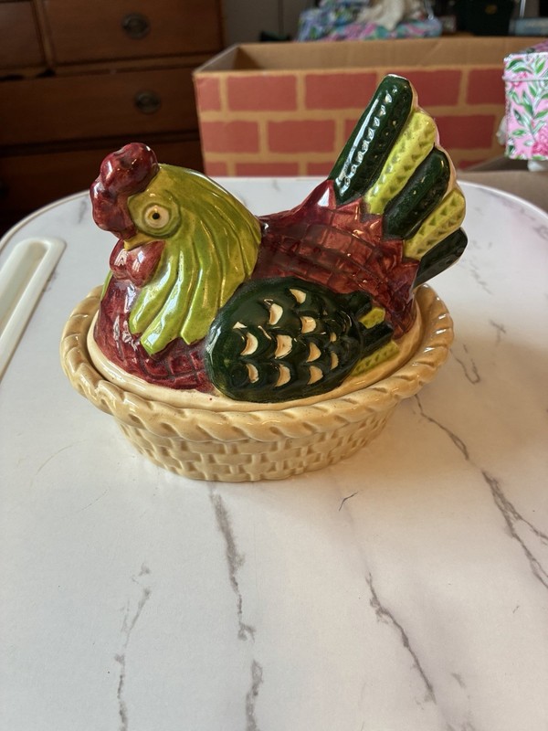 Colorful  Hen On Nest!