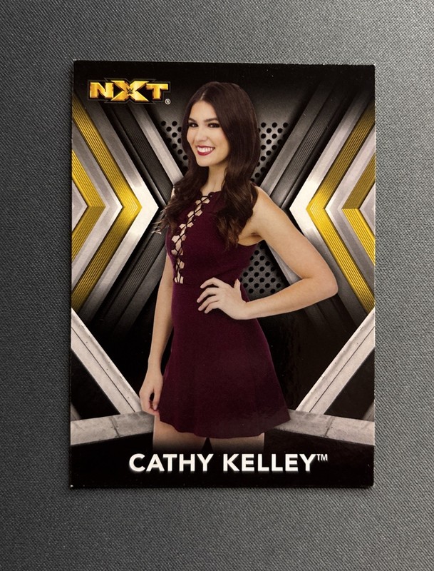 🔥🔥 2017 WWE NXT - Cathy Kelley #35 - SEE PICS