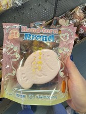 Taiyaki Bread Squishy