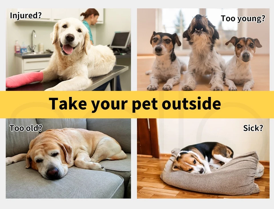 Pawz Large Pet Stroller Dog Cat Carrier Travel Pushchair Foldable Pram 3 Wheels - image 2 of 4