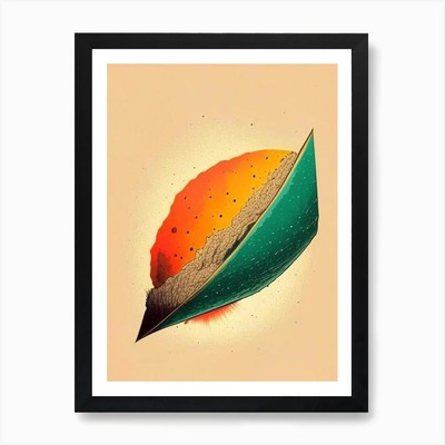 Asteroid Vintage Sketch Space Art P Framed Wall Art Poster Canvas Print Picture