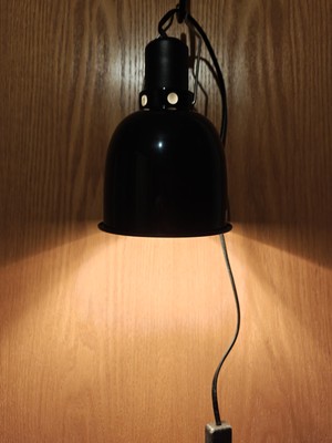 Exoterra Lampe E27 + 50watt  Wärmebirne
