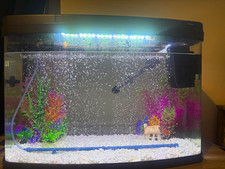 Aquarium With All Accessories