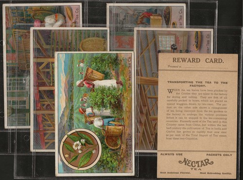 NECTAR TEA-FULL SET OF 6 REWARD CARDS (P6 CARDS) | eBay UK