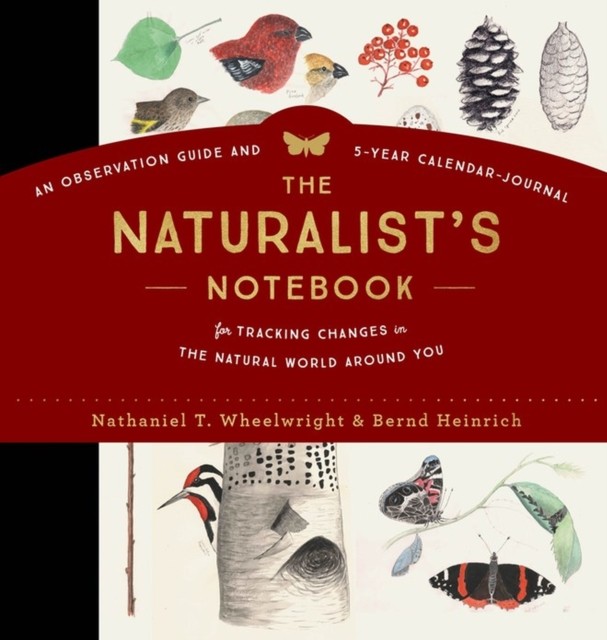 The Naturalist's Notebook by Bernd Heinrich (Hardback Book)