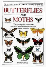 Butterflies and Moths (Eyewitness Handbooks) - Paperback - GOOD