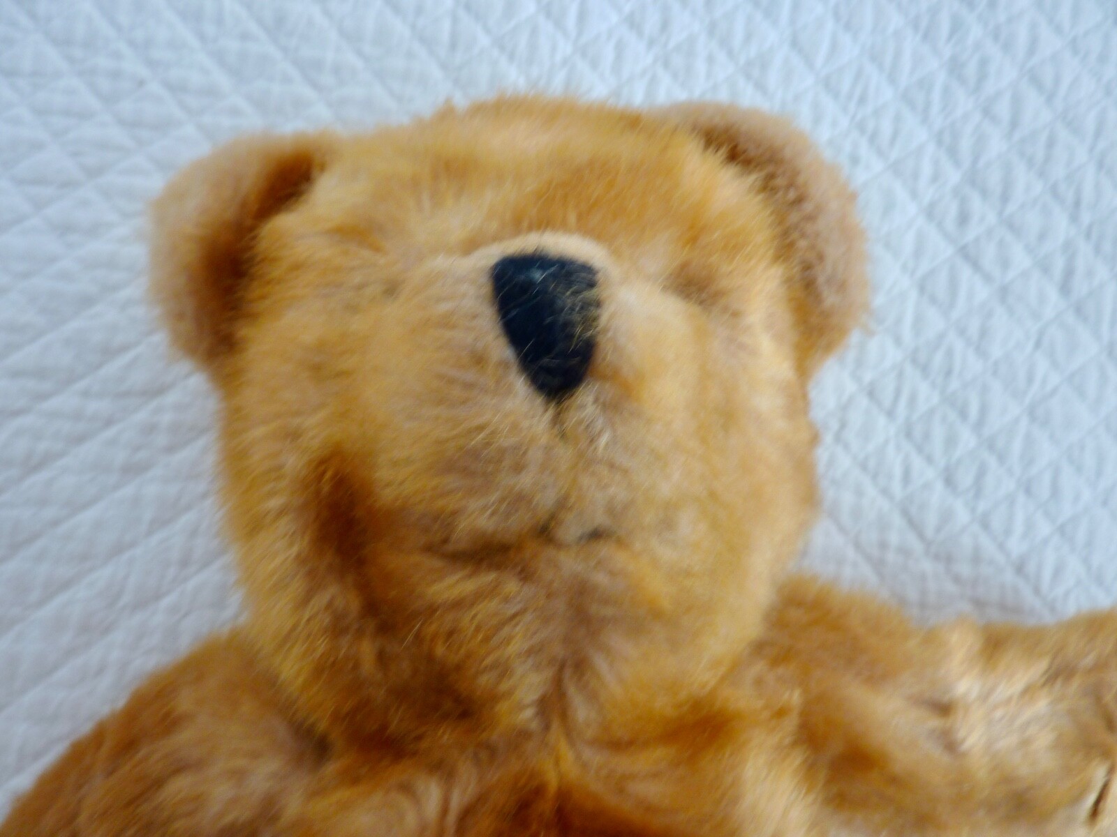 Bild 5 von 7