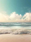 TA22 Backdrop/Background Photography For 11-12" 1/6 SD DZ DOD AOD BJD Doll