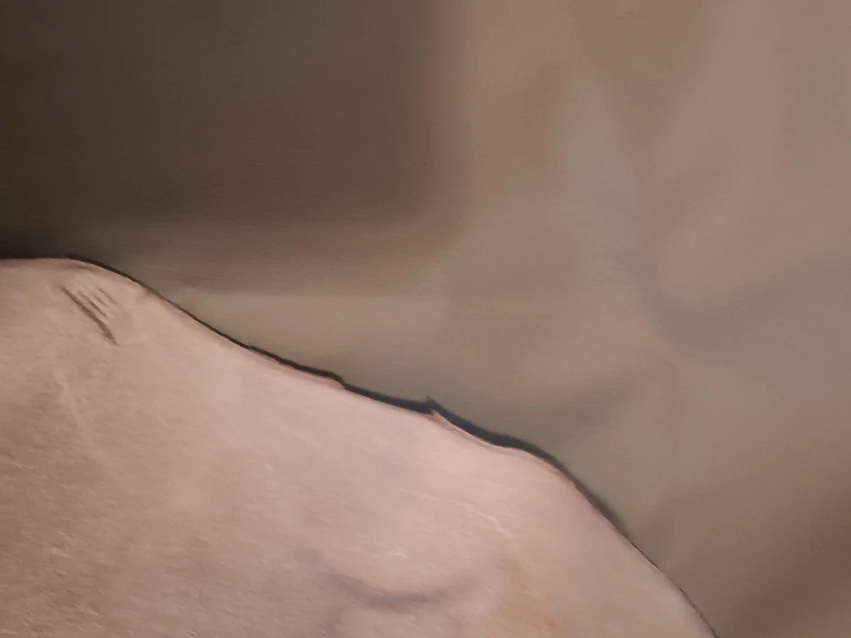 Diferentes tamanhos e cores de couro - Imagem 3 de 4