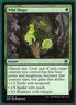 Wild Shape - Adventures in the Forgotten Realms AFR #212 - Magic MTG Card