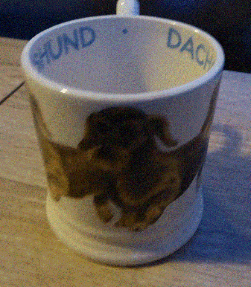 . Emma Bridgewater Wire Haired Dachshund 1/2 Pint Mug eBay