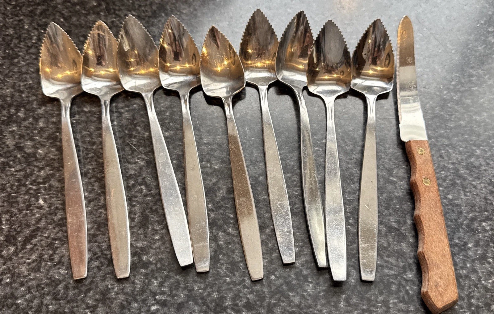 Grapefruit 9 Spoons 1 Serrated Knife Stainless Steel Kitchen Utensils
