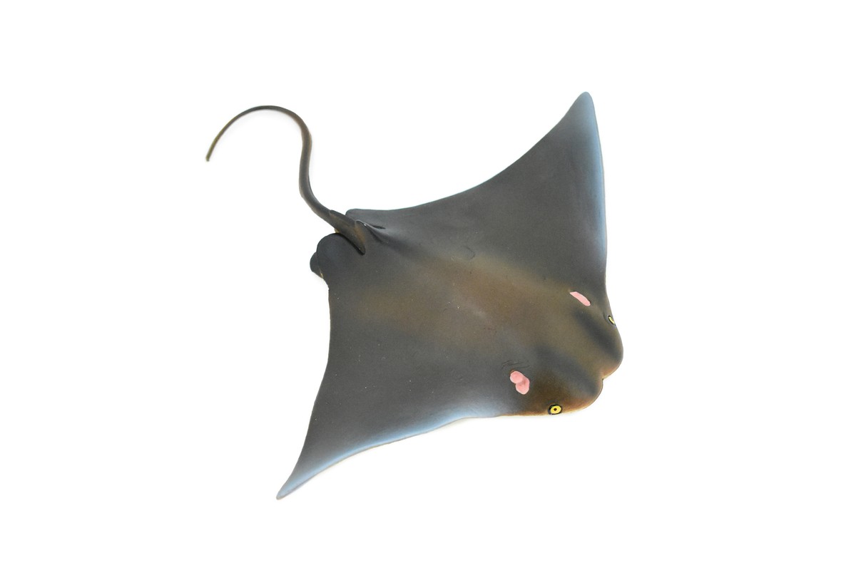 Stingray, Cownose Ray, Skate, Realistic Toy Model, Gift, 7  display picture 2