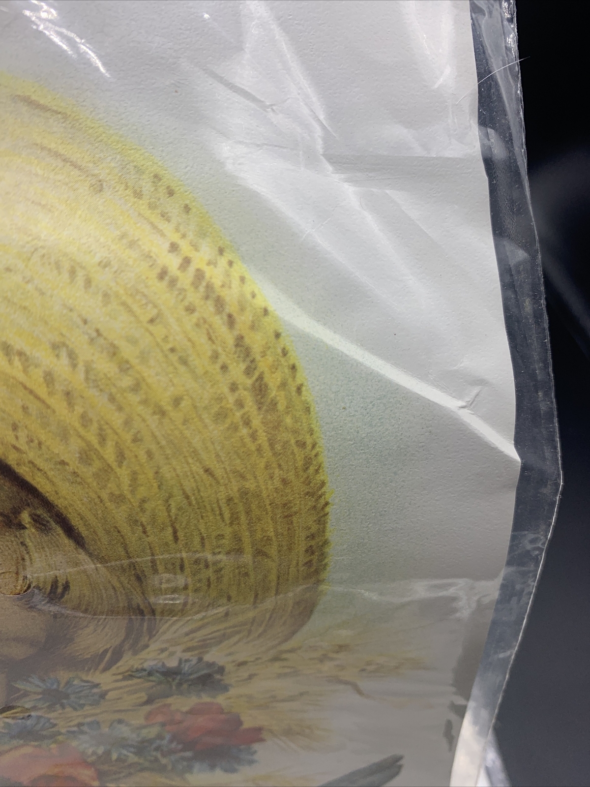 Vtg 1973 2 Prints Hazel Pearson Handicrafts Girl & Blackbird Bluebird Set Lot