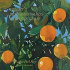 Lana Del Rey Violet Bent Backwards Over The Grass - LP 33T