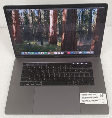 Apple MacBook Pro 15 2018 A1990 i7-8750H 6Core 16GB RAM 256GB SSD Radeon555X 4GB