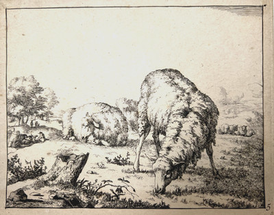 Former Rijksmuseum Collection (Lugt 240/699)-Marcus de Bye-Sheep #5/16 Etching