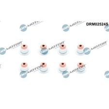 DR.MOTOR VENTILSCHAFTDICHTUNG SATZ passend f�r BMW 3er E46 E90 316 318i 320i
