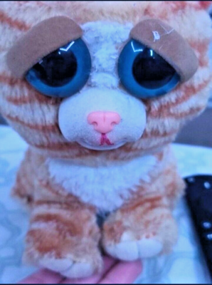 Potty Mouth Feisty Pets Pink Cat Feisty Pets Princess Potty Mouth