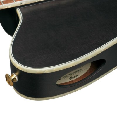 Ibanez TOD10N-TKF Tim Henson Signature Model Nylon Electric Guitar
