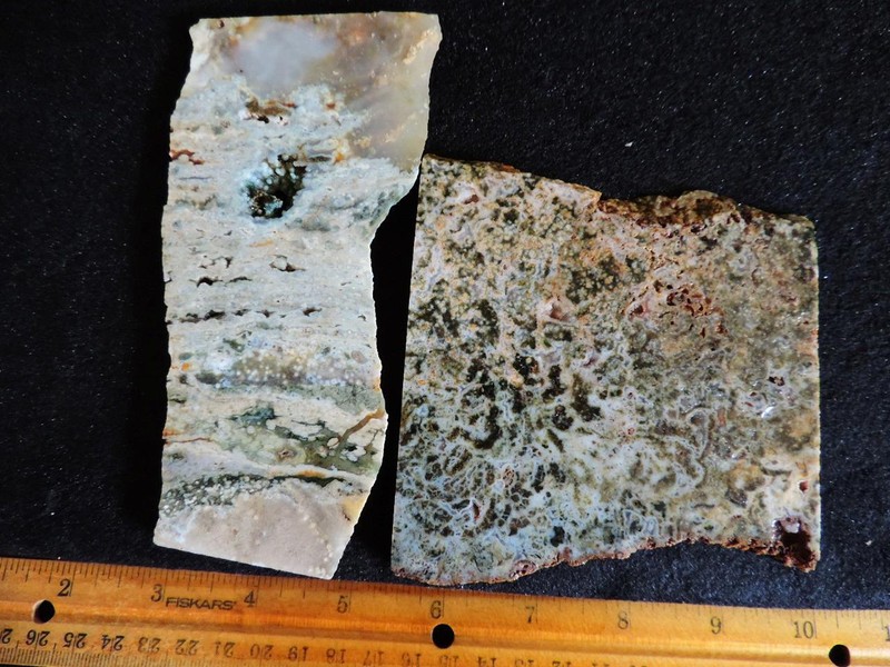 2 SLABS, 10.9 OUNCES, OF ASSORTED OCEAN JASPER