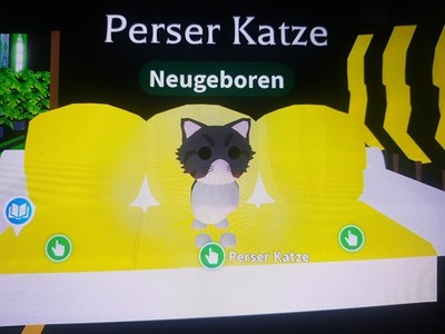 Adopt Me Persian Cat