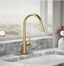 Kohler Guild Gold Pull-Down Kitchen Sink Faucet with Three-Function Sprayhead
