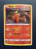 1x Pokemon Tepig SWSH172 Black Star Promo Holo with HD SWIRL, Fire Starter mp