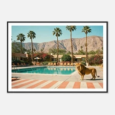 Fine Art Lion by Pool Print, Palm Springs Retro Photography, Luxury Wall Decor