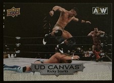 Ricky Starks 2022 Upper Deck AEW #C10 UD Canvas