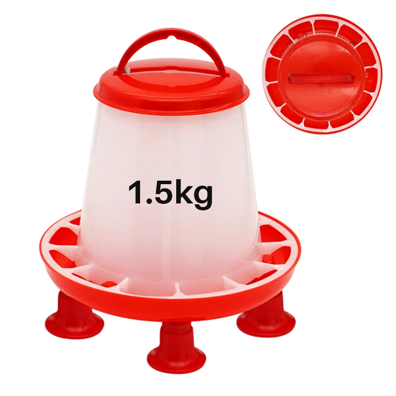 Mangeoire jetable pour canard anti-pou avec jambe et distributeur nourriture volaille