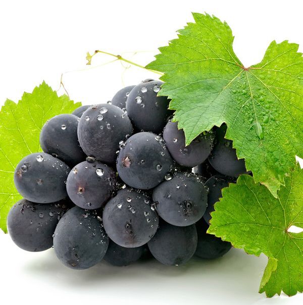 50 Mixed Grape Seeds Vitis Vinifera Fruit Seed S019 | eBay