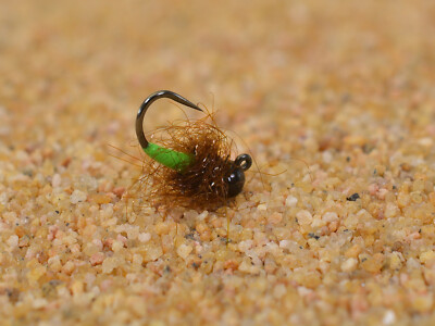6 Flies - Tungsten Jigged Caddis Jig Head Fly - Euro nymph - Hanak Hook