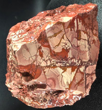 6.4 lb Faced Dead Camel Gem Grade Jasper Agate Breccia Dendritic Lapidary Rough