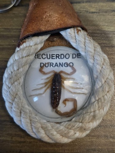 Recuerdo De Durango Mexico Real Scorpion Key Chain Rope Leather Handmade