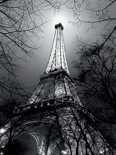 Sa Majeste La Tour Eiffel Antoine Carrara Art Print Poster 23.75