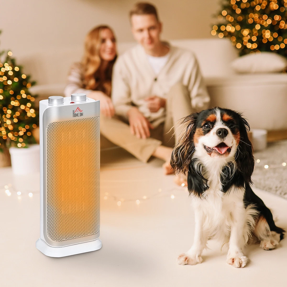 Indoor Space Heater Oscillating Ceramic Heater w/ Adjustable Modes  1000W/2000W 5056534525101 | eBay