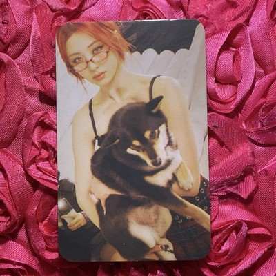 Yunjin LE SSERAFIM Crazy BLUE GIRLS KPOP Idol Photo Card Dog Girl