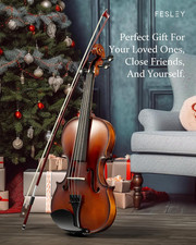 4/4 Full Size Violin Set Acoustic Wooden Music Instrument Beginners Strings Case