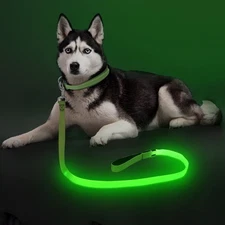Light Up Dog Leash, LED Pet Leashes USB Rechargeable, Glow Safety Dogs Lights...