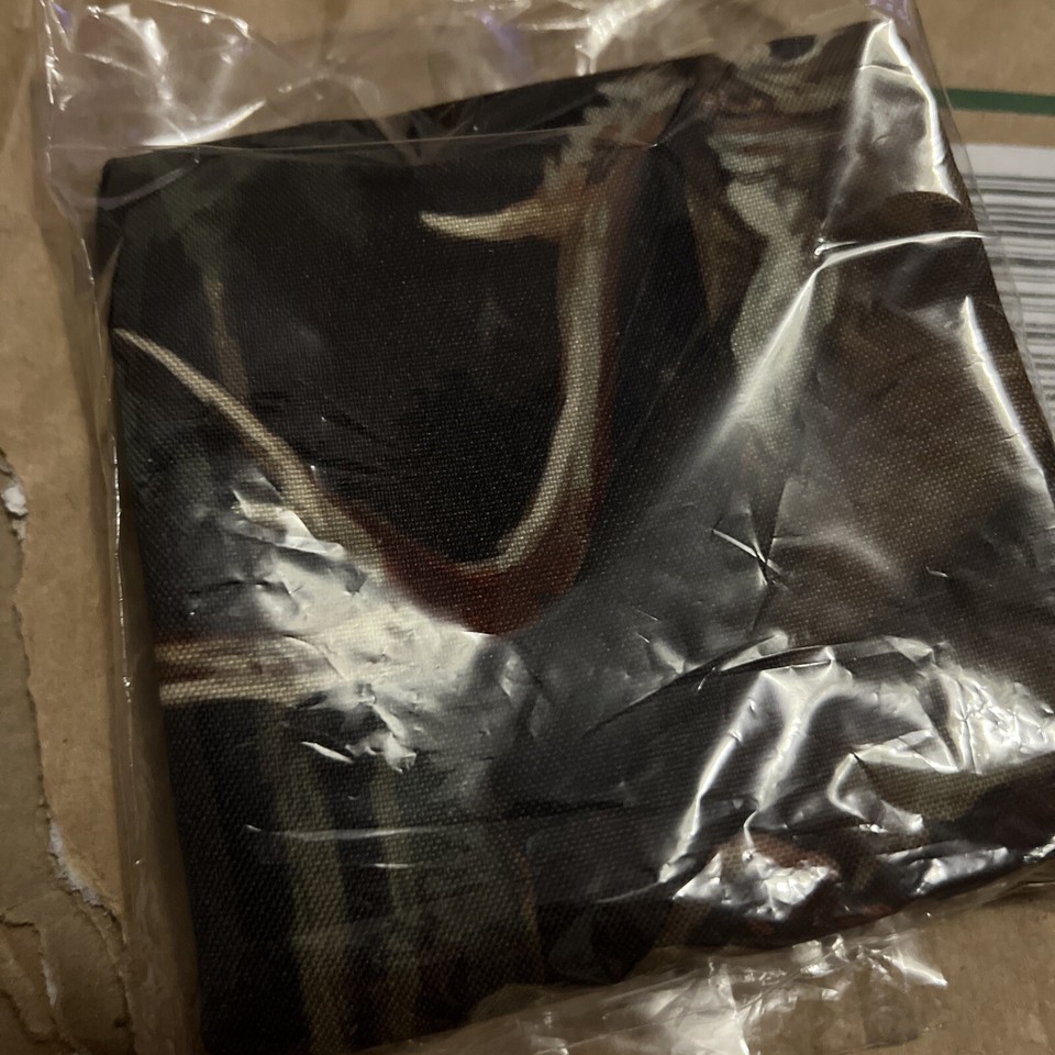 Step Into the Light by Acacia Strain (WALL FLAG Small) eBay