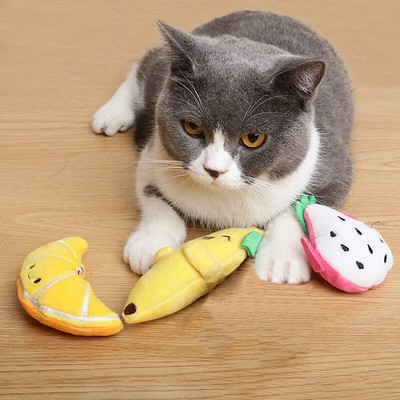 interactive cat toys canada