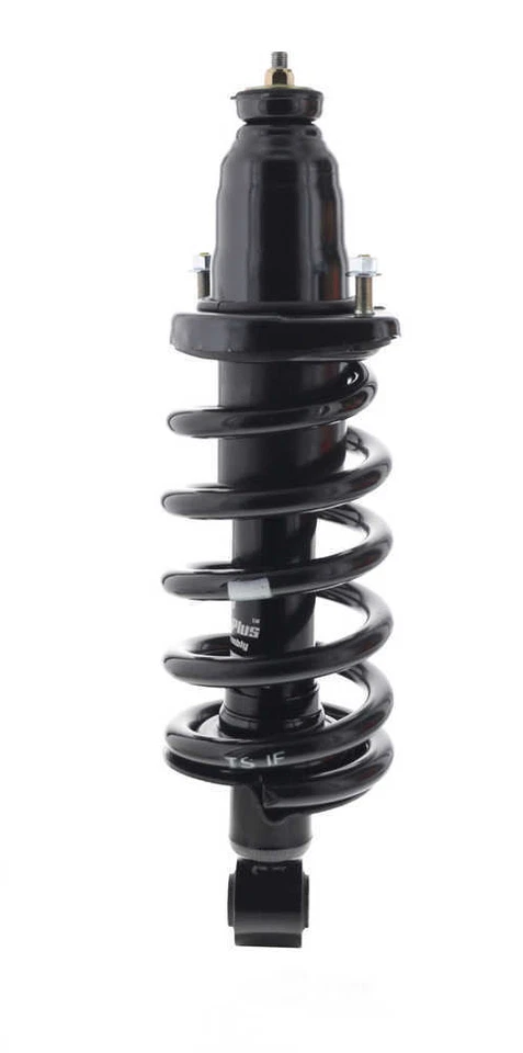 Strut-plus Suspension Strut & Coil Spring Assembly fits 2003-2011 Honda Element - Imagem 2 de 4